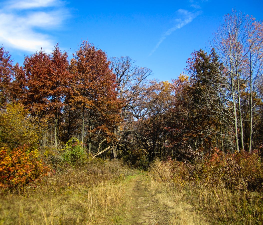 Huntington Woods 1