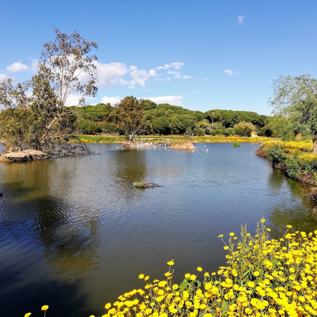 Cañada de los Pájaros 3