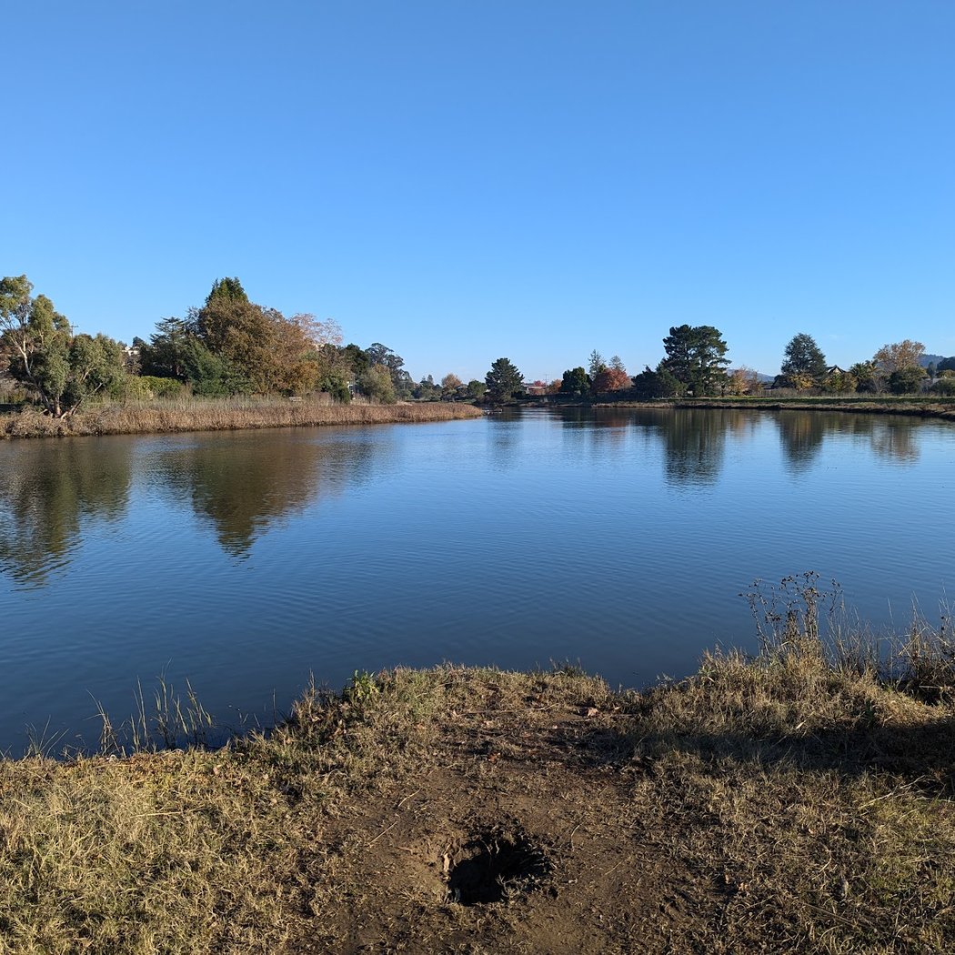 Corte Madera Creek 3