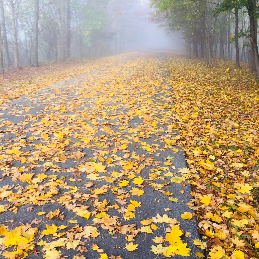 Love Road Entrance Dutchess Rail Trail 1