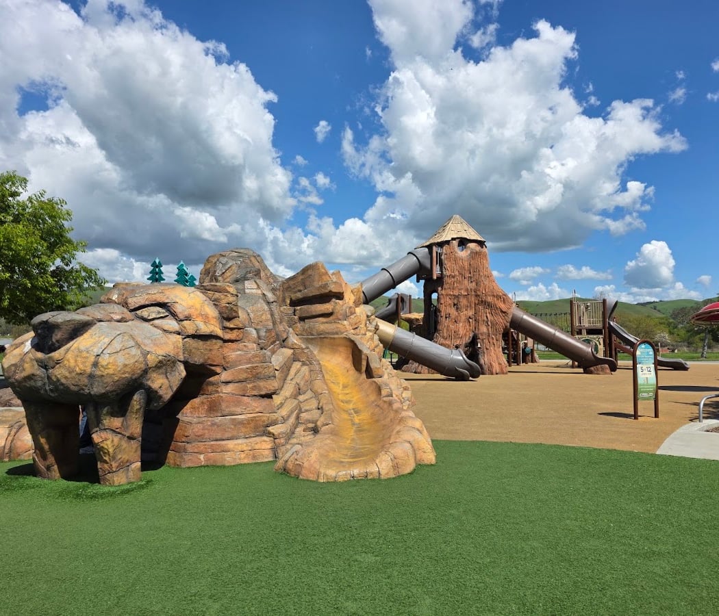 Sabercat Play Area Central Park 1