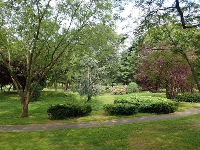 Garden of Meditation 1