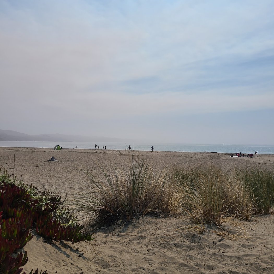 Doran Beach Rd 1