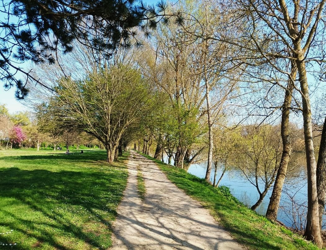 Parc de Sainte Radegonde 1