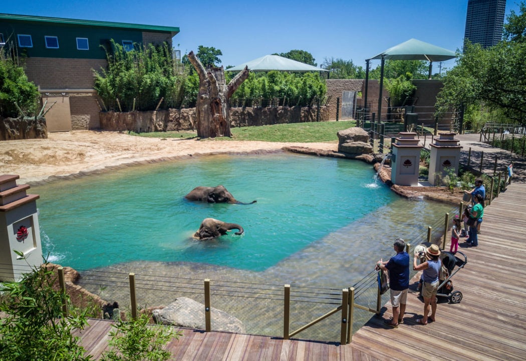 Houston Zoo 2