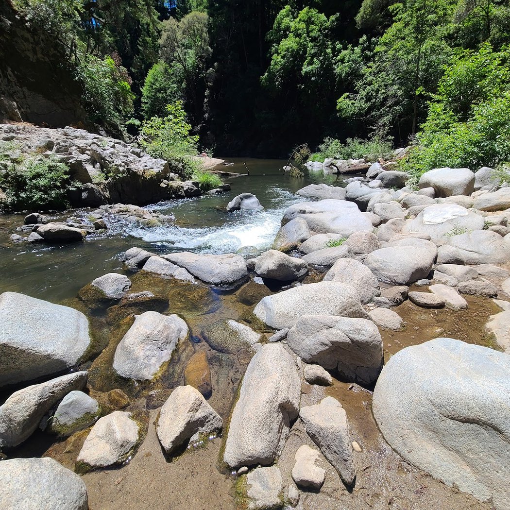 Garden of Eden - Henry Cowell Redwood State Park 2