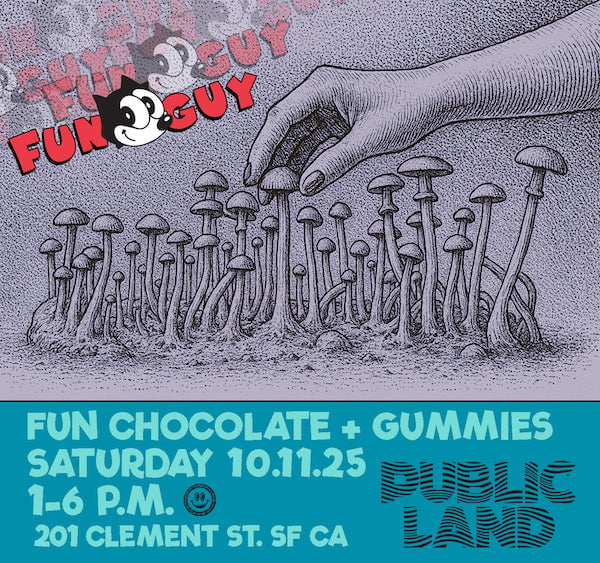 Fun Guy Pop Up 1
