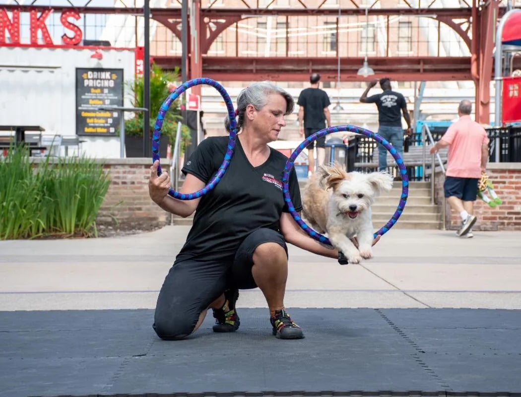 Purina Incredible Dog Team Performance 2