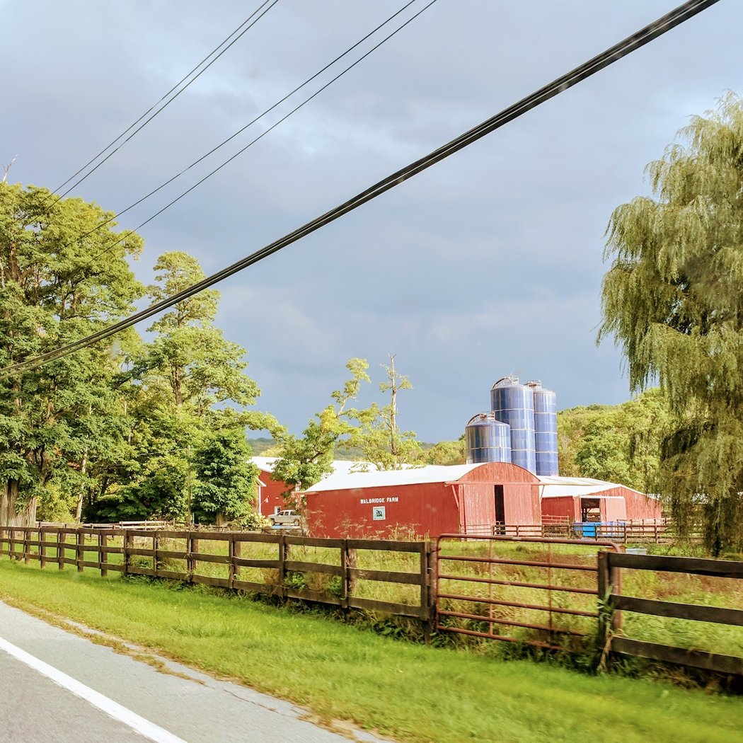 Walbridge Farm 2