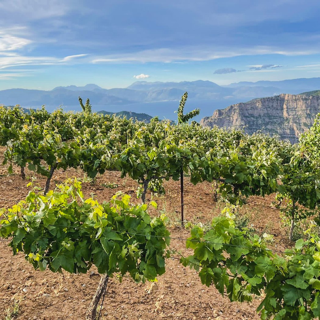 ATELIER DU 4 MAI : LA BATAILLE RHÔNE NORD – RHÔNE SUD 2
