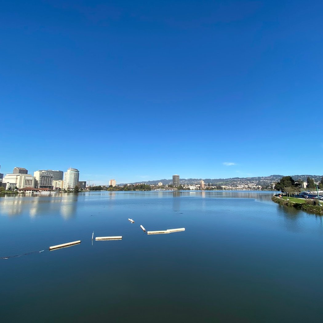 Lake Merritt Volunteer Activity 3