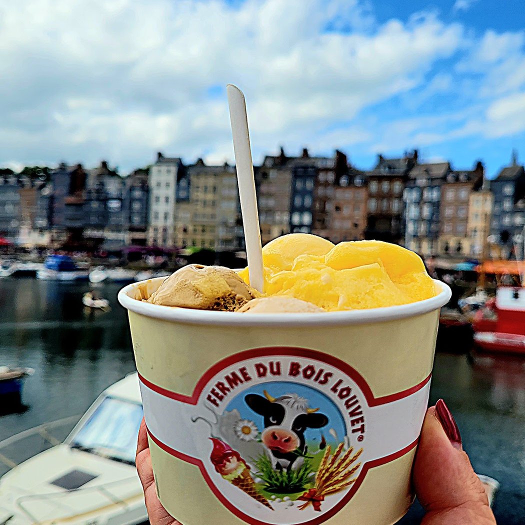 Glaces de la Ferme du Bois Louvet 1