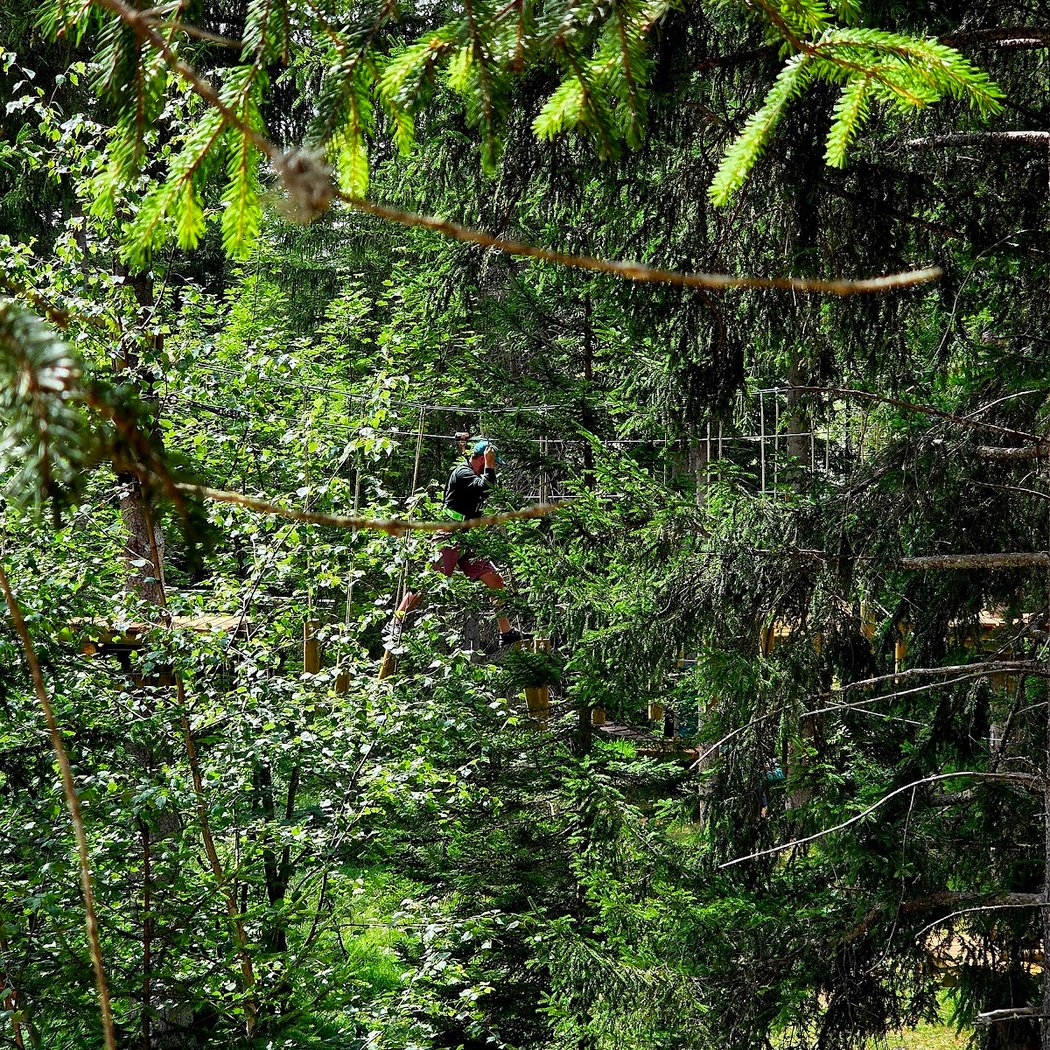 Treetop adventure 3