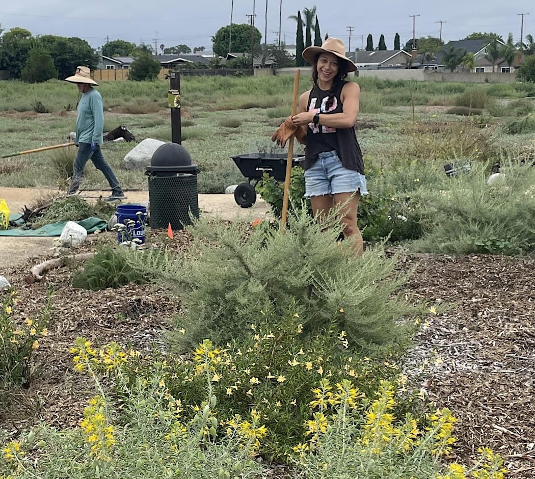 Irby Park Native Garden Volunteer Day 3