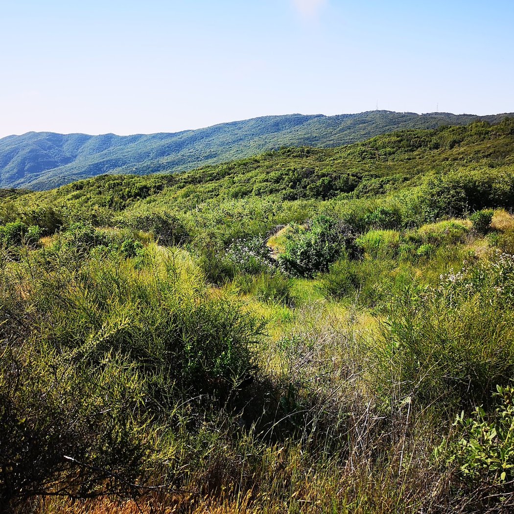 Mix Canyon Rd 2