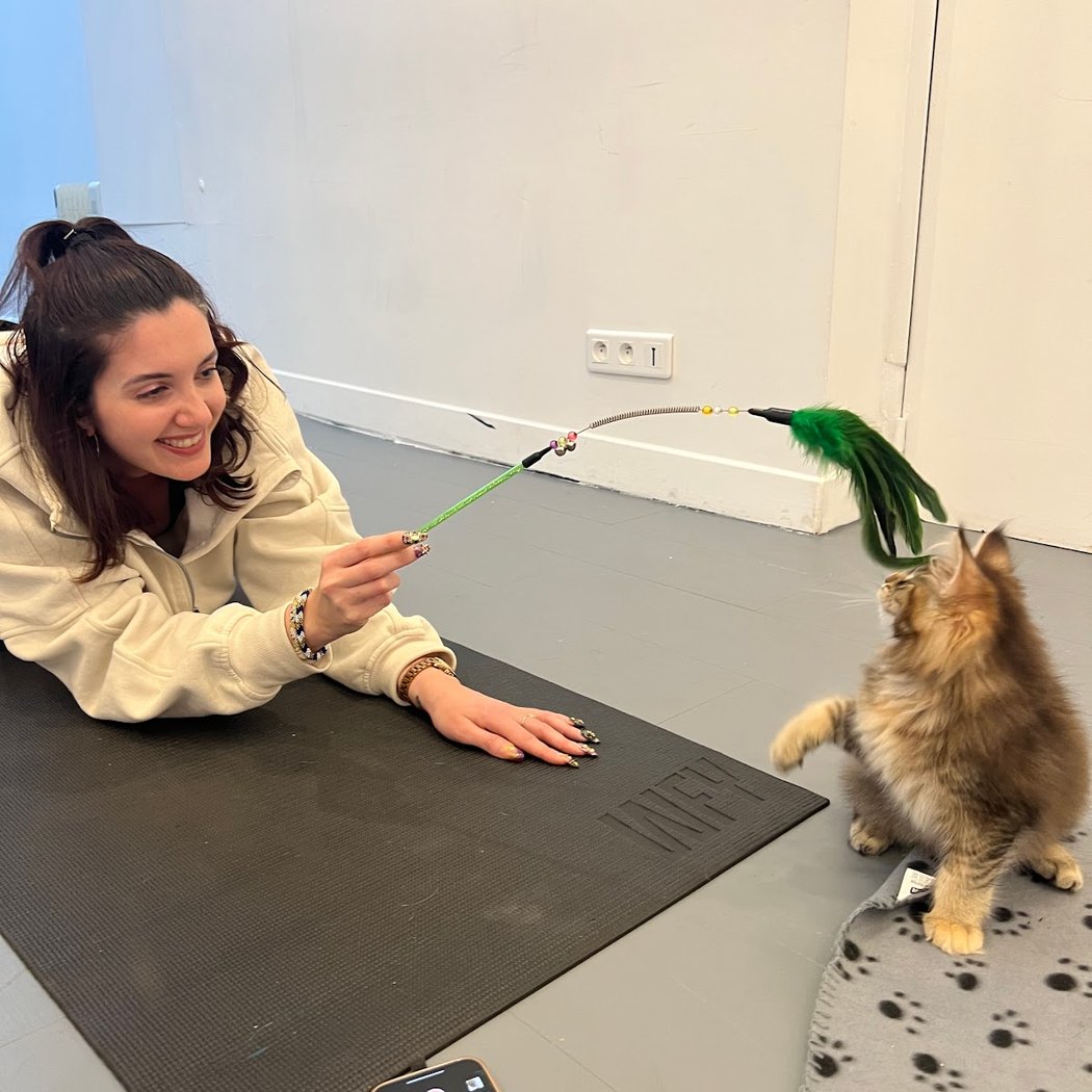 Kitten Yoga Paris 3