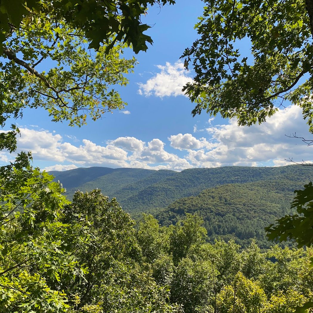 Tanbark Loop Trailhead 3