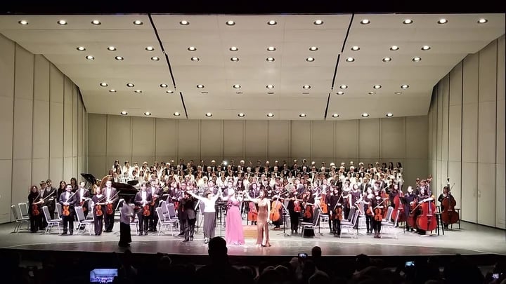Vietnamese American Cultural Center 1