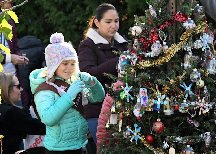 Tree Trim 2