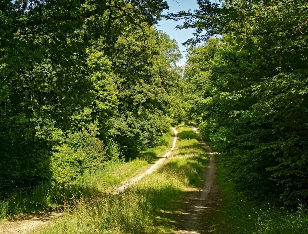 Promenade de la Dhuis 3