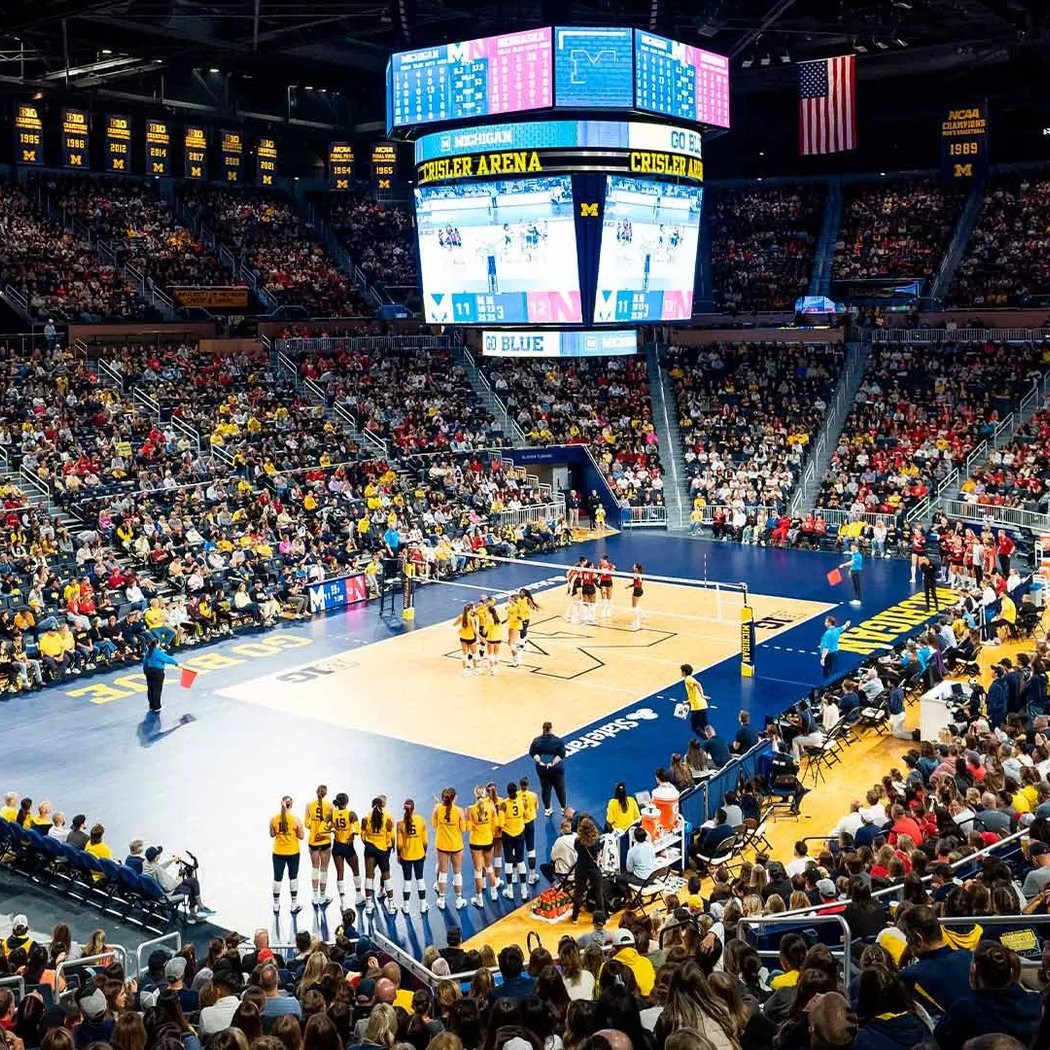 Michigan Wolverines vs. LSU Tigers 3