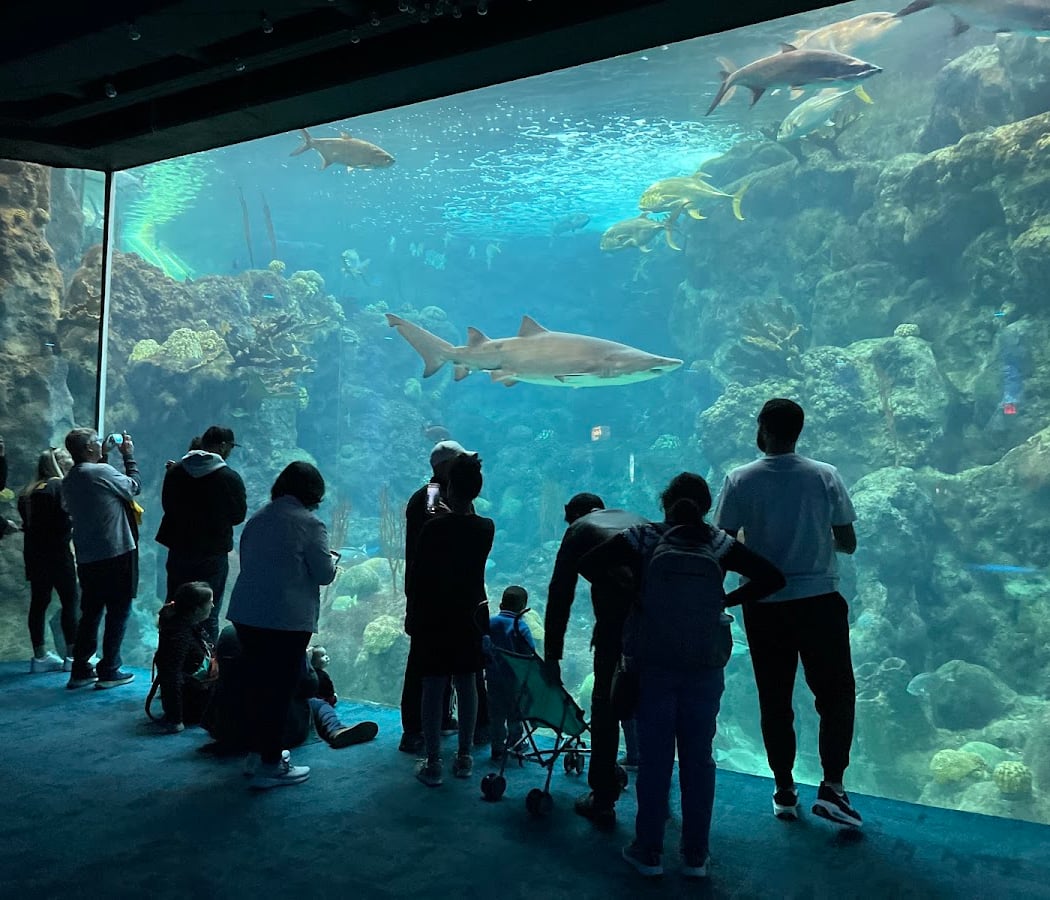 The Florida Aquarium 2