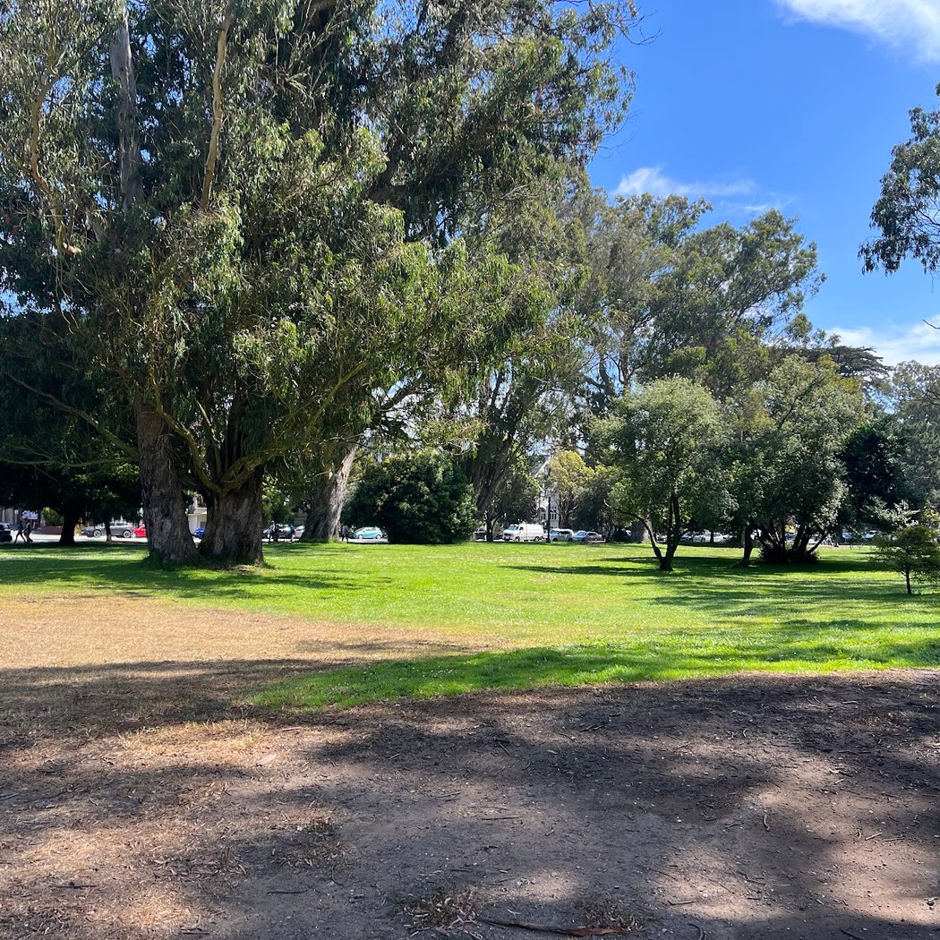 Meandering Bike Ride Through Golden Gate Park 2