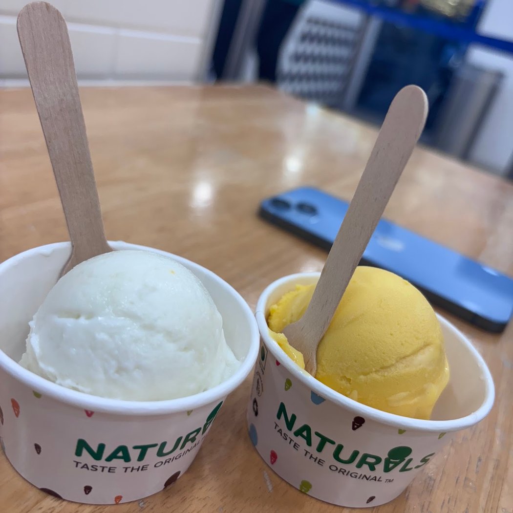 Naturals Ice Cream 2