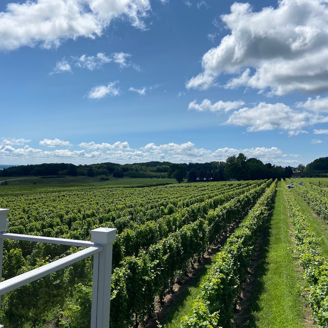 Brys Estate Vineyard & Winery 1
