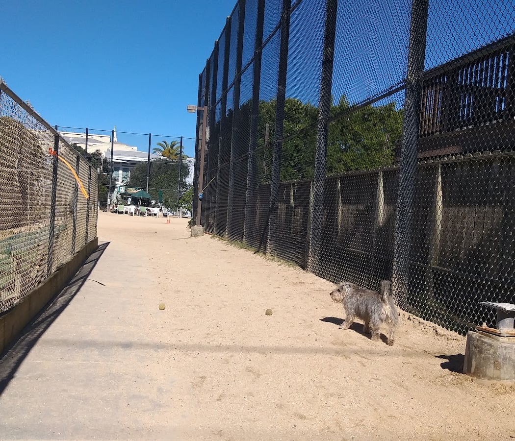 Upper Noe Dog Play Area 2