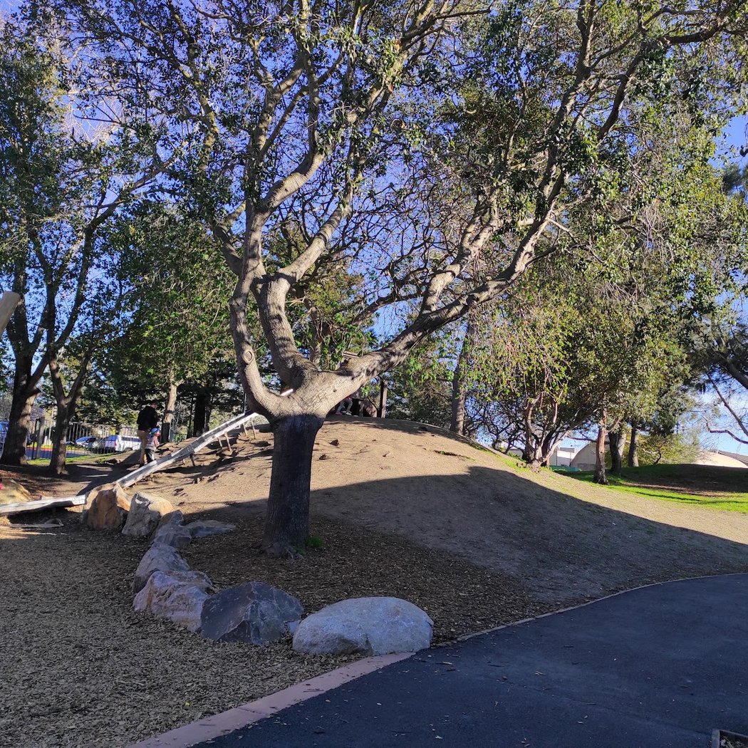 Strawberry Creek Park Playground 2