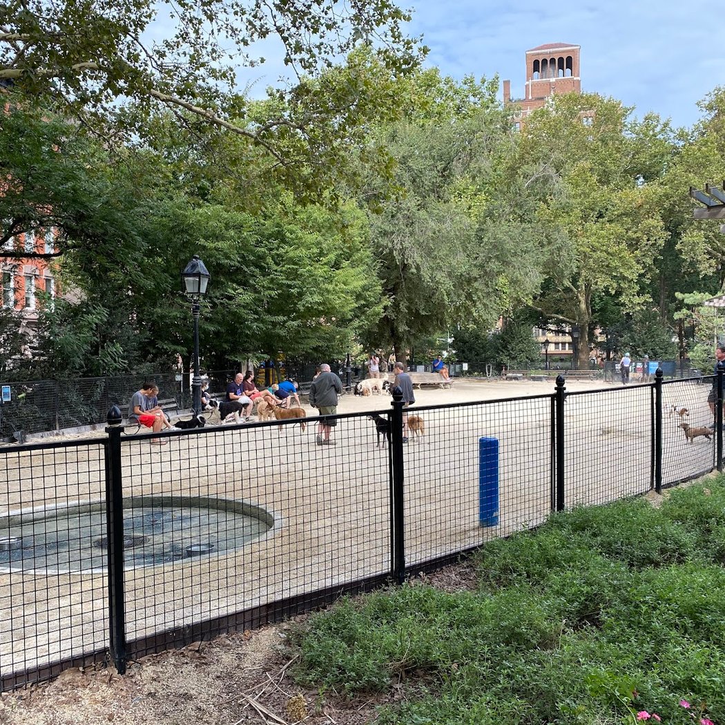 Washington Square Park Dog Run 3