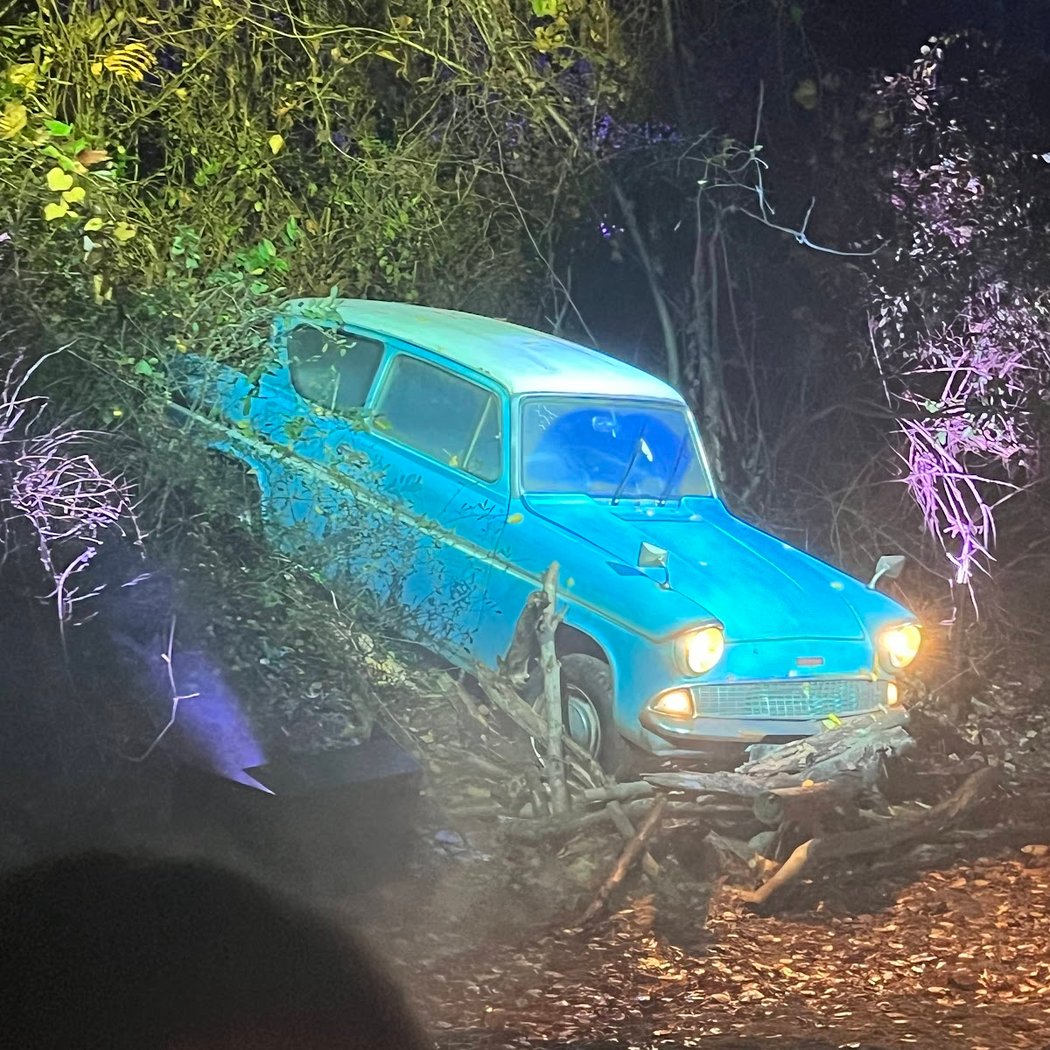 Harry Potter : A Forbidden Forest Experience 3