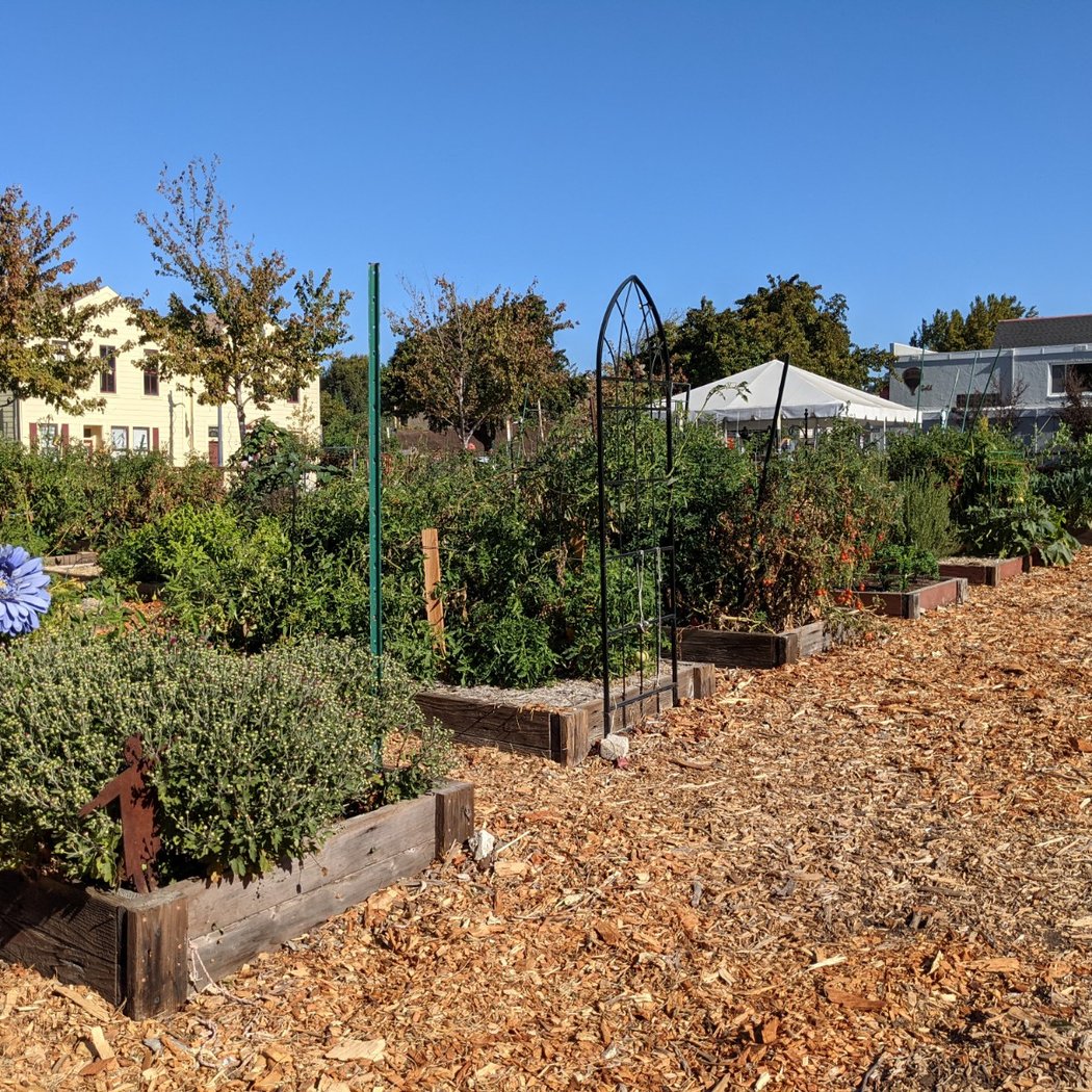 Avant community Garden 2
