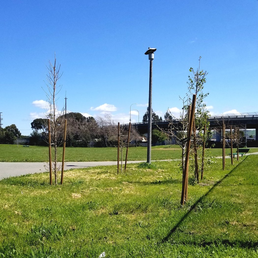 Lucas Park 3