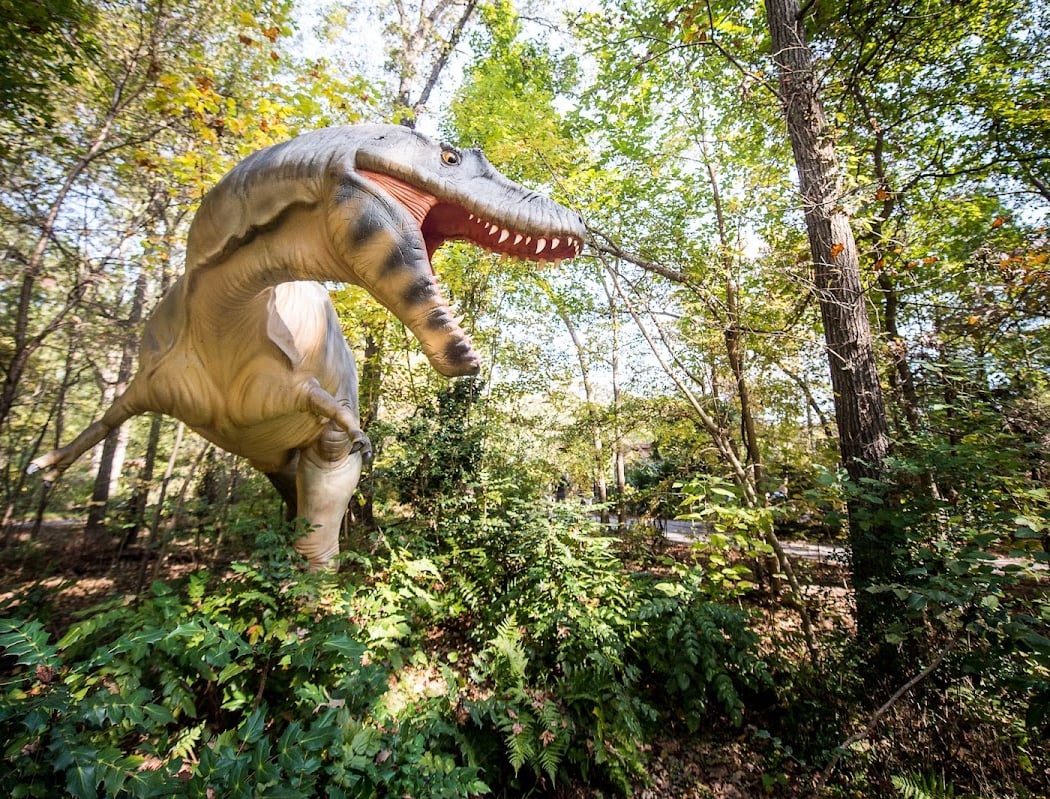 Museum of Life and Science 4