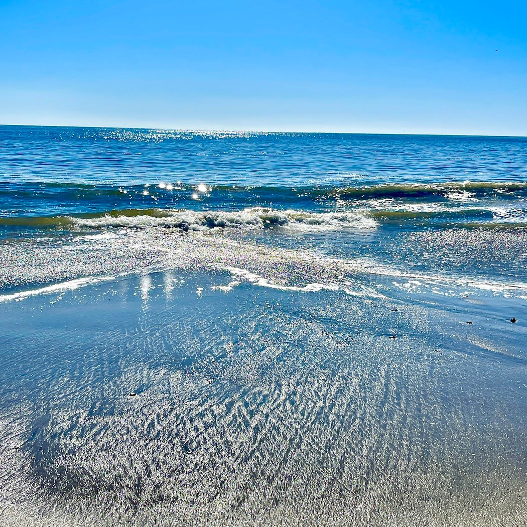 New Brighton State Beach 2