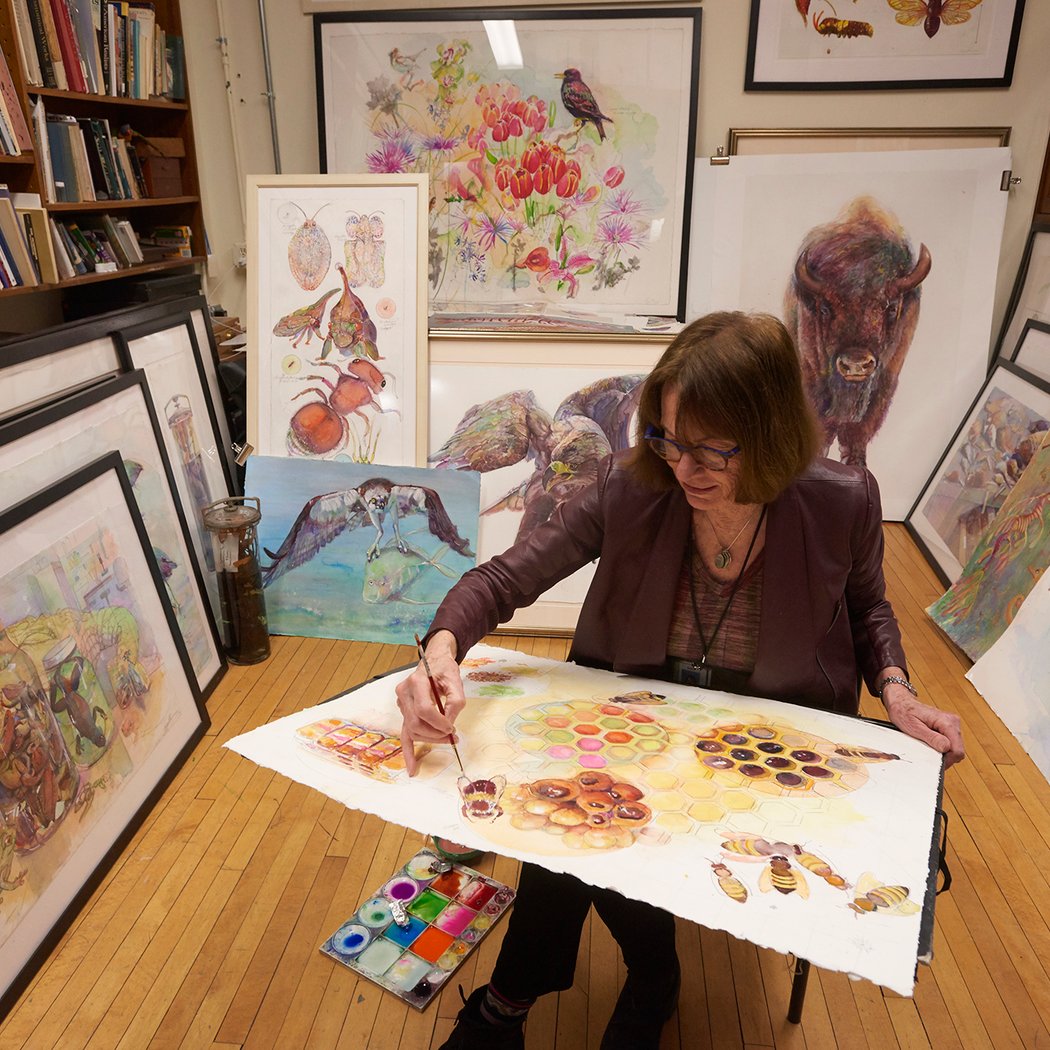 Observational Drawing Using Unusual Specimens 1