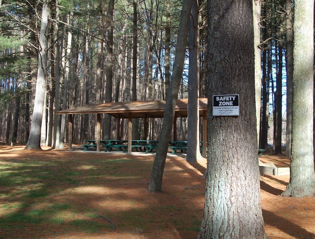 Blackbird State Forest 2