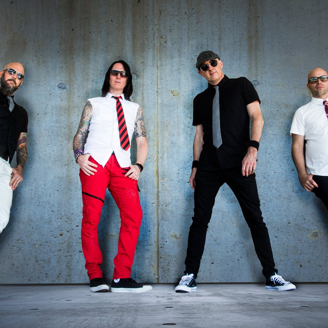The Hooligans 3