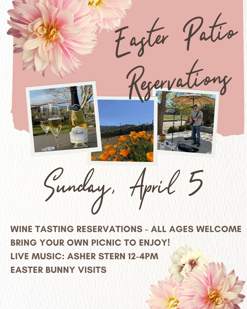 Live Music by Asher Stern 1
