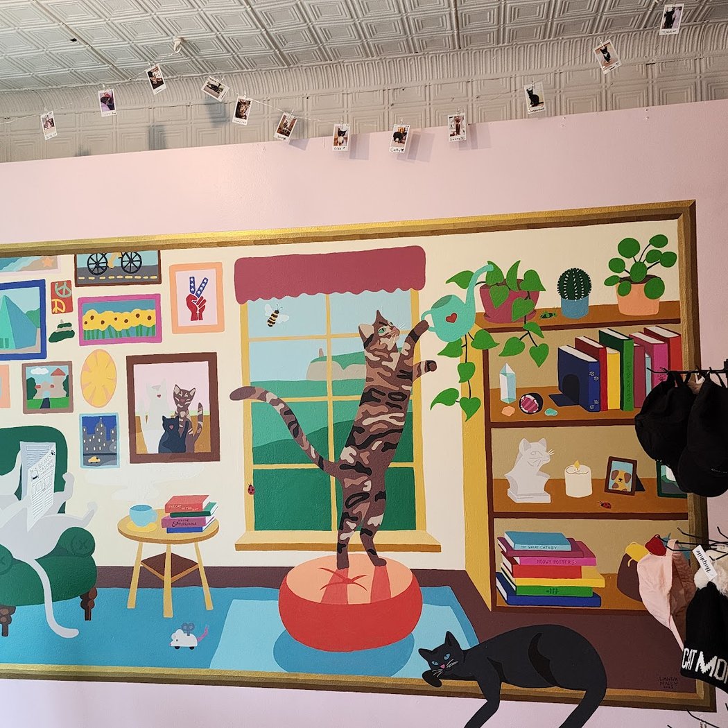 Beans Cat Cafe 3