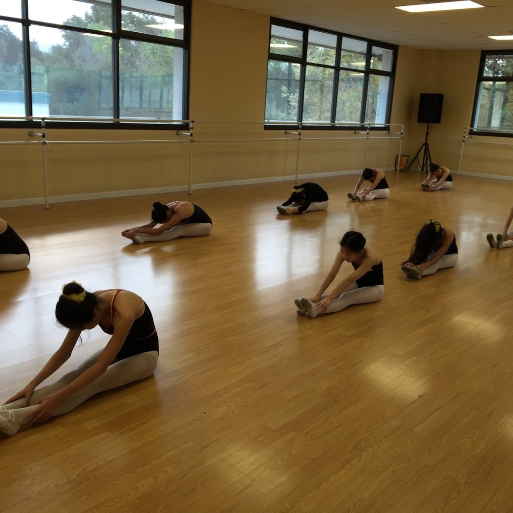 Achieve Dance Arts Academy 2