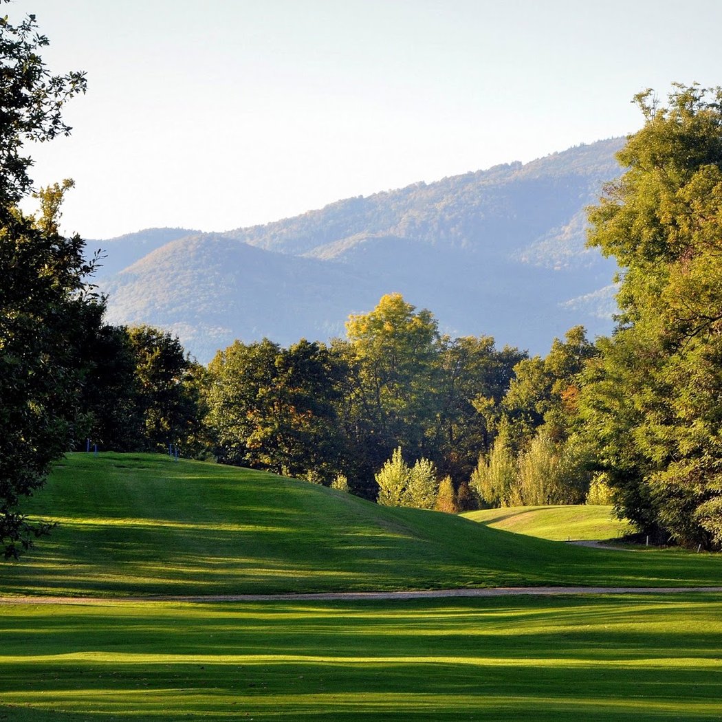 Golf Club Bouleaux 1