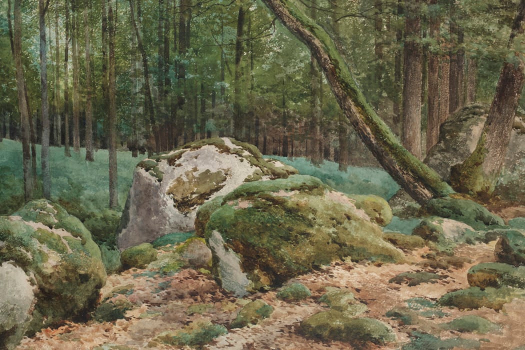 La nature révélée. Les dessins d’Auguste Allongé (1833-1898) 2