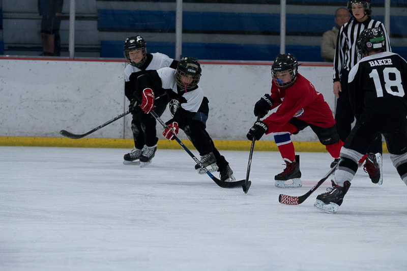 Sugar Land Ice & Sports Center 3