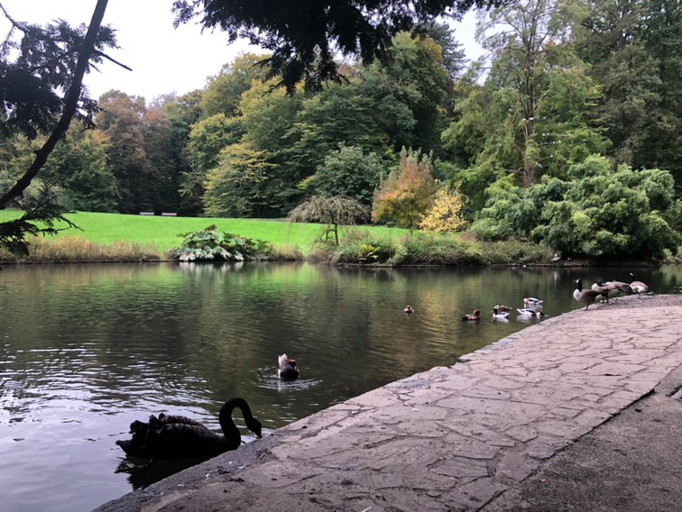Parc de la Gaudinière 2