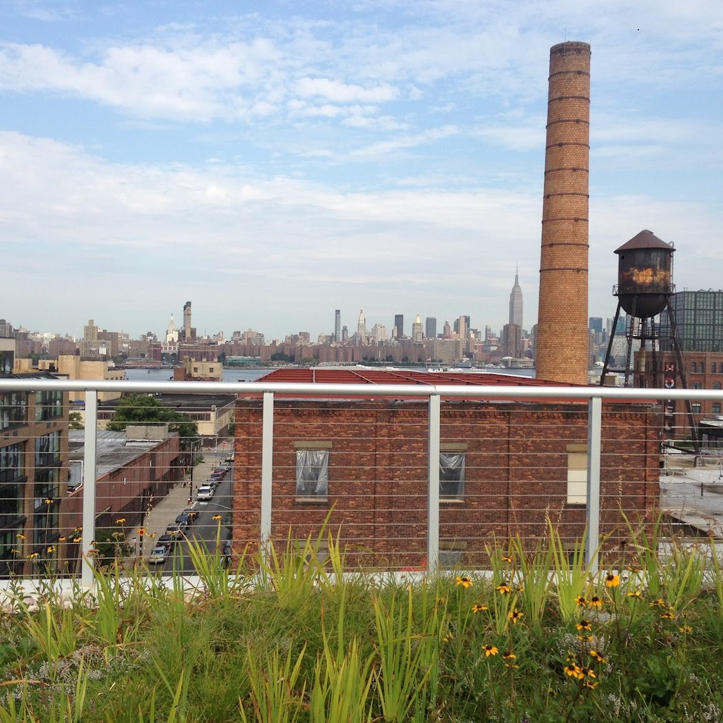 New York Green Roofs 2