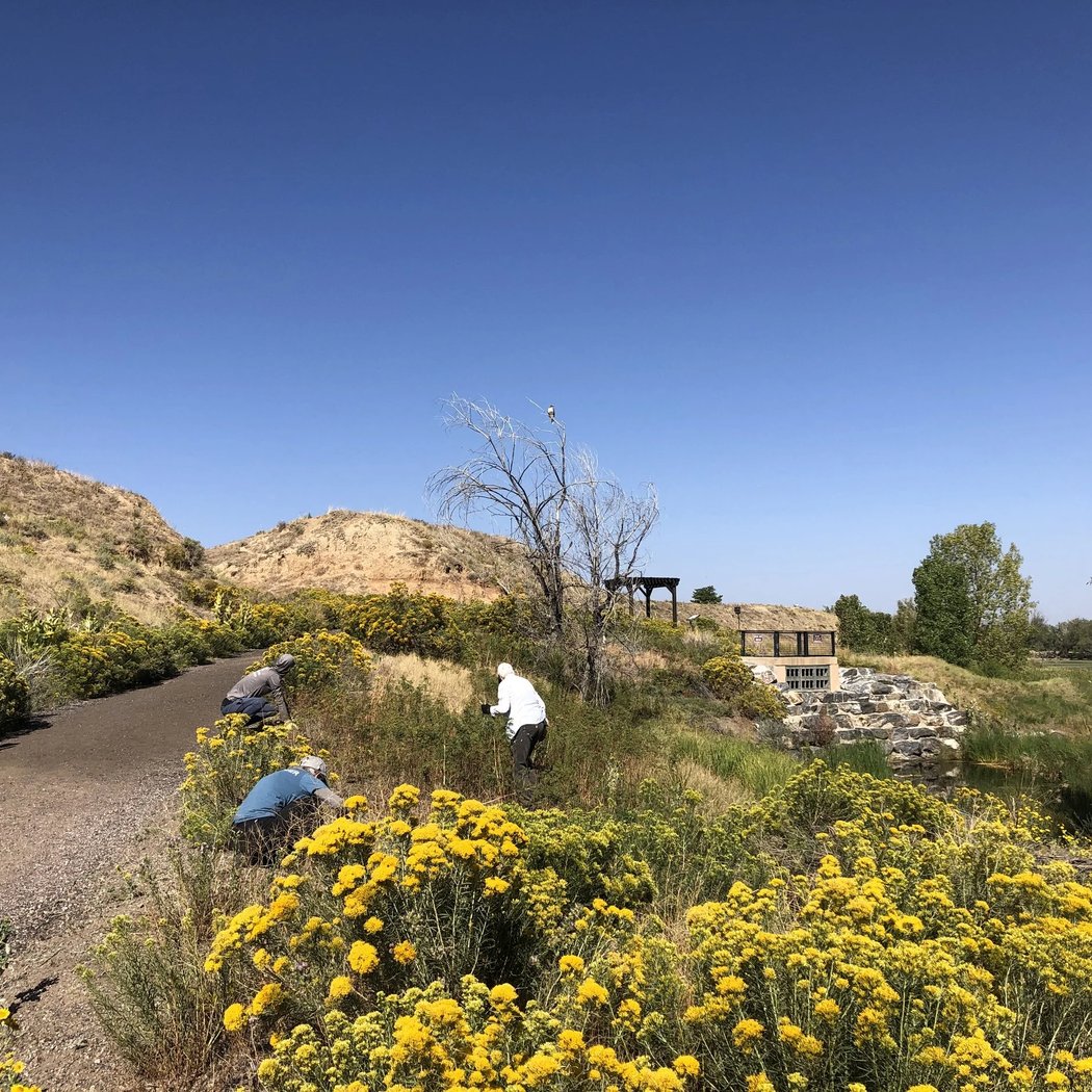 Nature Walk and Seed Collection