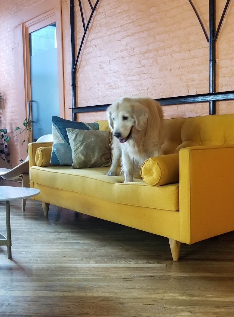 Green Desk Coworking and Office Spaces - Dumbo 3